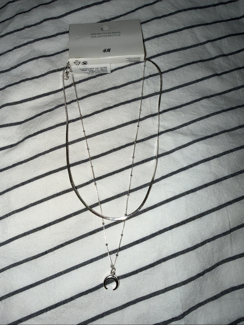 H&M Double-Layer Silver Crescent Necklace